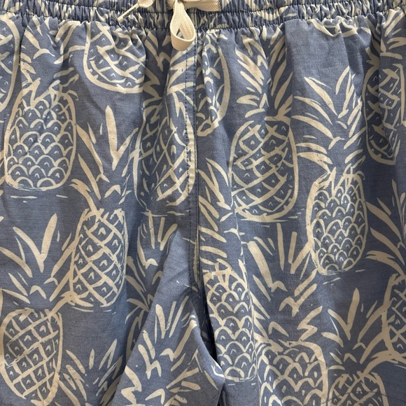 Chubbies Shorts Men's Blue Thigh-Napples 5.5" Lined Swim Trunks Pineapple Medium - Picture 2 of 5